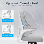 Sedia da ufficio ergonomica in rete con supporto lombare, braccioli ribaltabili e ruote