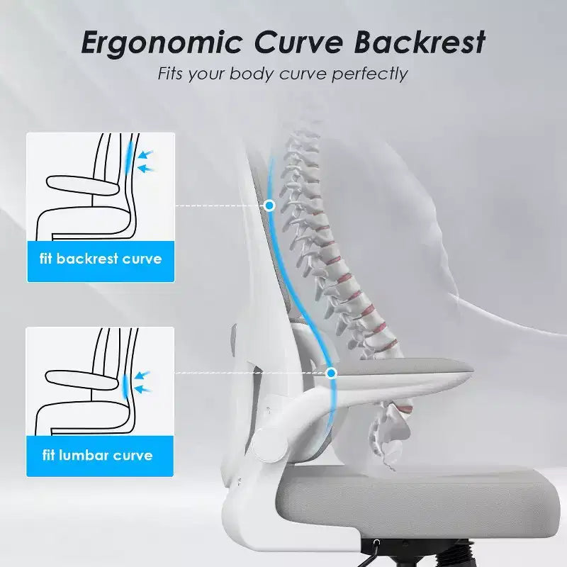 Sedia da ufficio ergonomica in rete con supporto lombare, braccioli ribaltabili e ruote