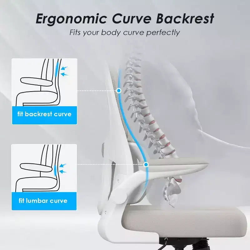 Sedia da ufficio ergonomica in rete con supporto lombare, braccioli ribaltabili e ruote
