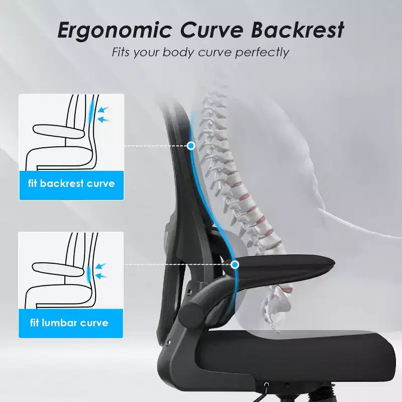 Sedia da ufficio ergonomica in rete con supporto lombare, braccioli ribaltabili e ruote